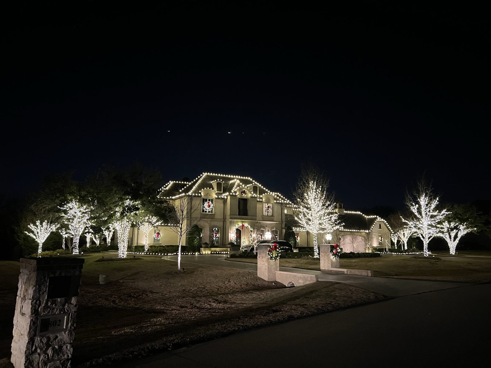 Christmas light installation Richardson TX blue and white tree lights