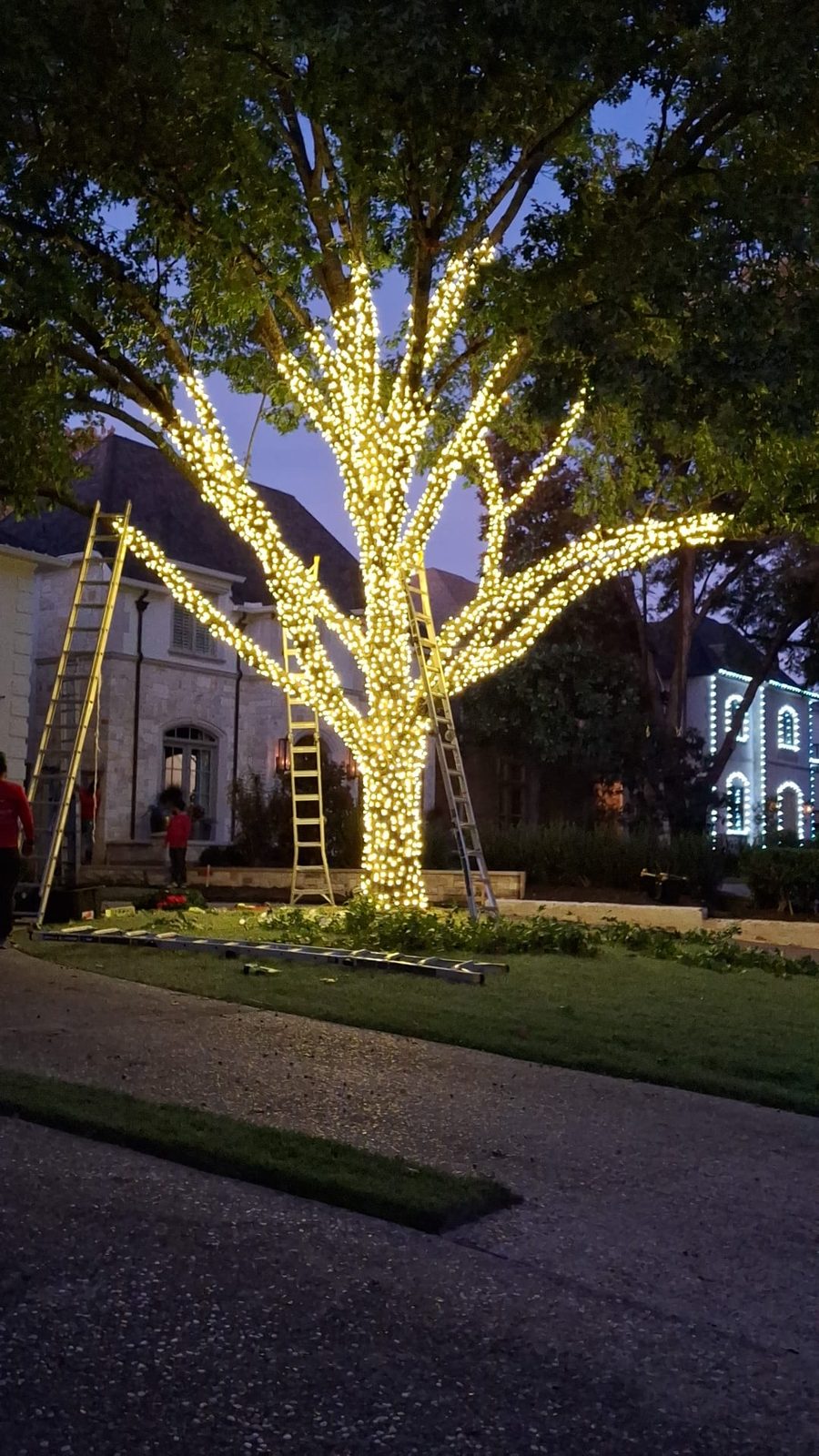 Christmas tree wrapping Dallas TX warm white lights