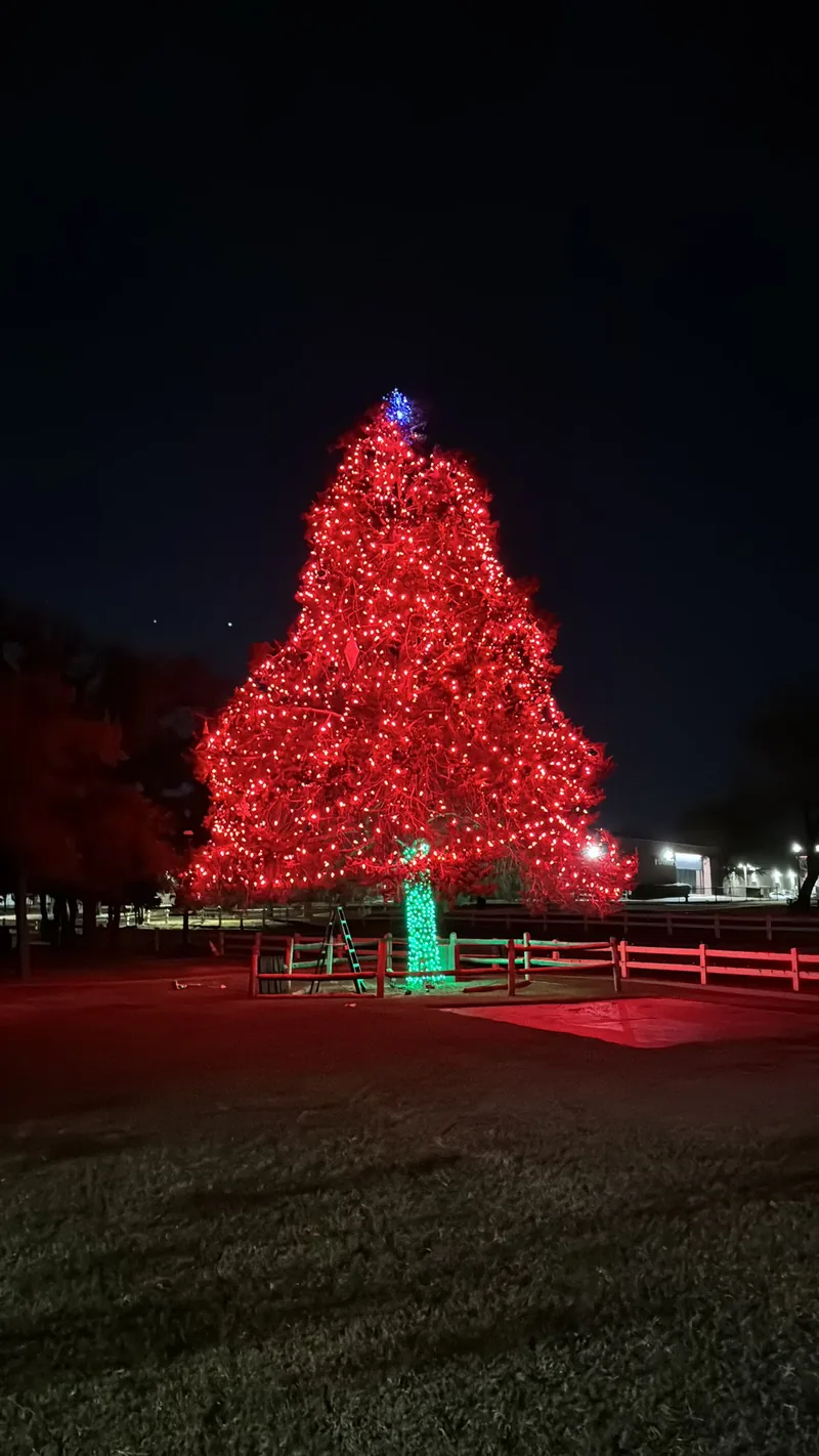 Commercial Christmas light installation DFW — large lit centerpiece tree at a business property