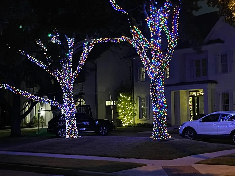 Christmas light installation Park Cities TX — crew installing tree wrapping on a luxury home